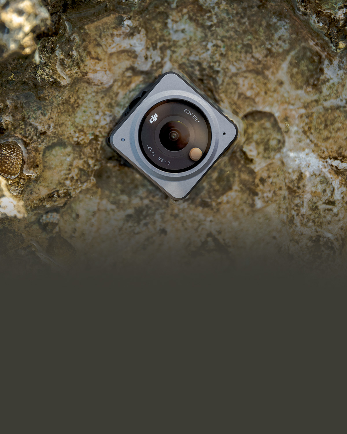 preloaded image